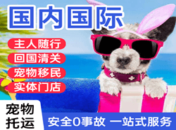 乌审旗嘎鲁图航空货运国际宠物托运 【国